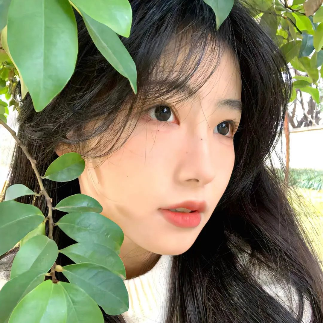 放映师