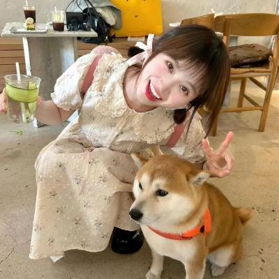 古装权谋